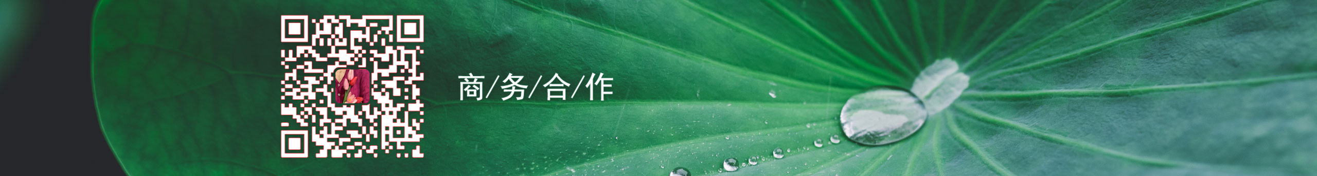 555满满是星星555的个人主页（封面预览） - 主页封面设置 - 站酷设计师555满满是星星555原创素材 - 站酷ZCOOL