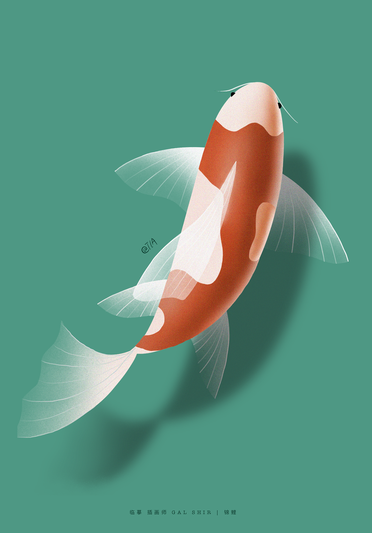 临摹 插画师Gal Shir 锦鲤（图ZMjE2MjA5MzY0） - 创作习作 - 站酷设计师TIA快去画画原创素材 - 站酷ZCOOL