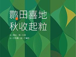平面版式