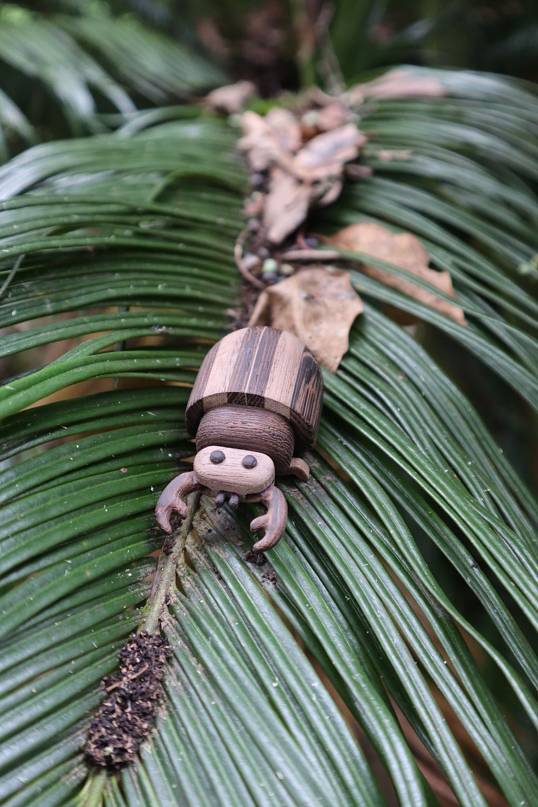 消失的昆虫们 Moil's handmade