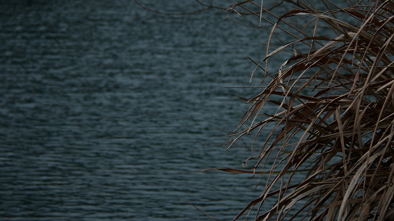 风景照（图ZMjQ2ODAwMTY4） - 风光摄影 - 站酷设计师12点29分原创素材 - 站酷ZCOOL