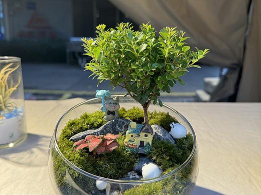 桌面微景观（个人主页-ZNjg4MDc1NDQ=） - 其他手工艺 - 站酷设计师夏末初凉i原创素材 - 站酷ZCOOL