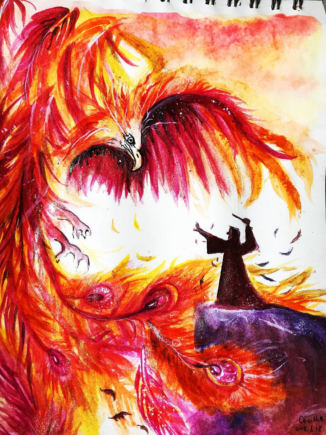 端午 炽热的凤凰