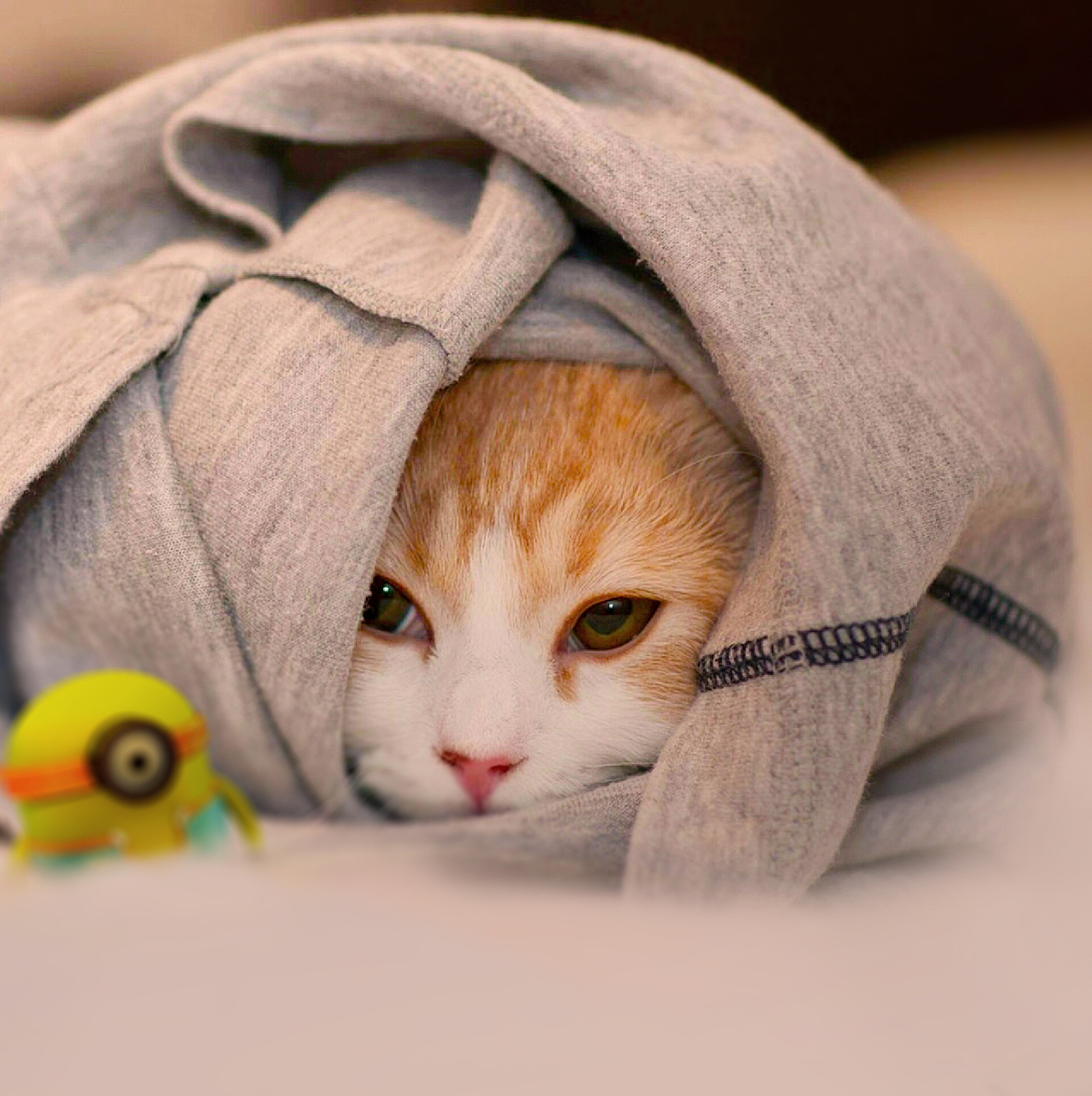 小黄人建模（图ZMTAwNjQ3MzE2） - 动画片 - 站酷设计师大山上的小土堆原创素材 - 站酷ZCOOL