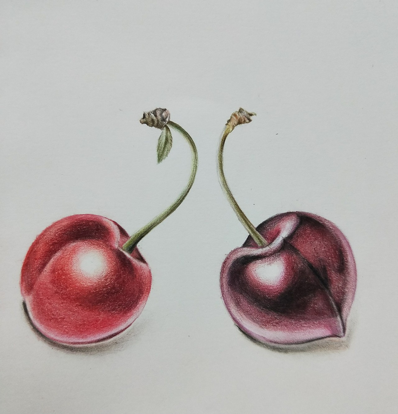 最后再多加几层颜色,画出它的色泽就完成了!
一颗红樱桃,一颗黑樱桃,有没有很有食欲(ฅ>ω<*ฅ)