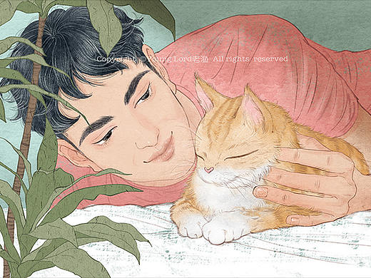 猫与少年