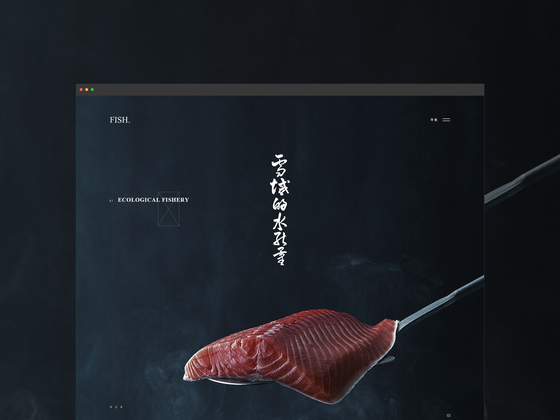 鱼 企业网站