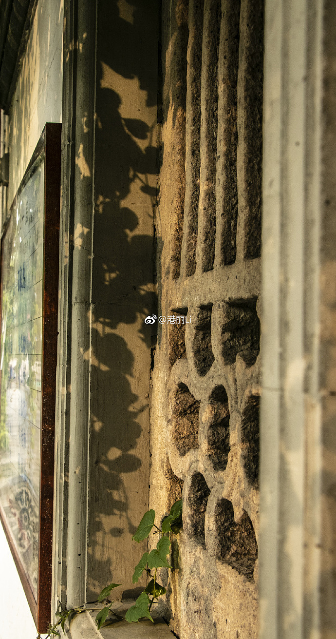 《“光”与“影”》