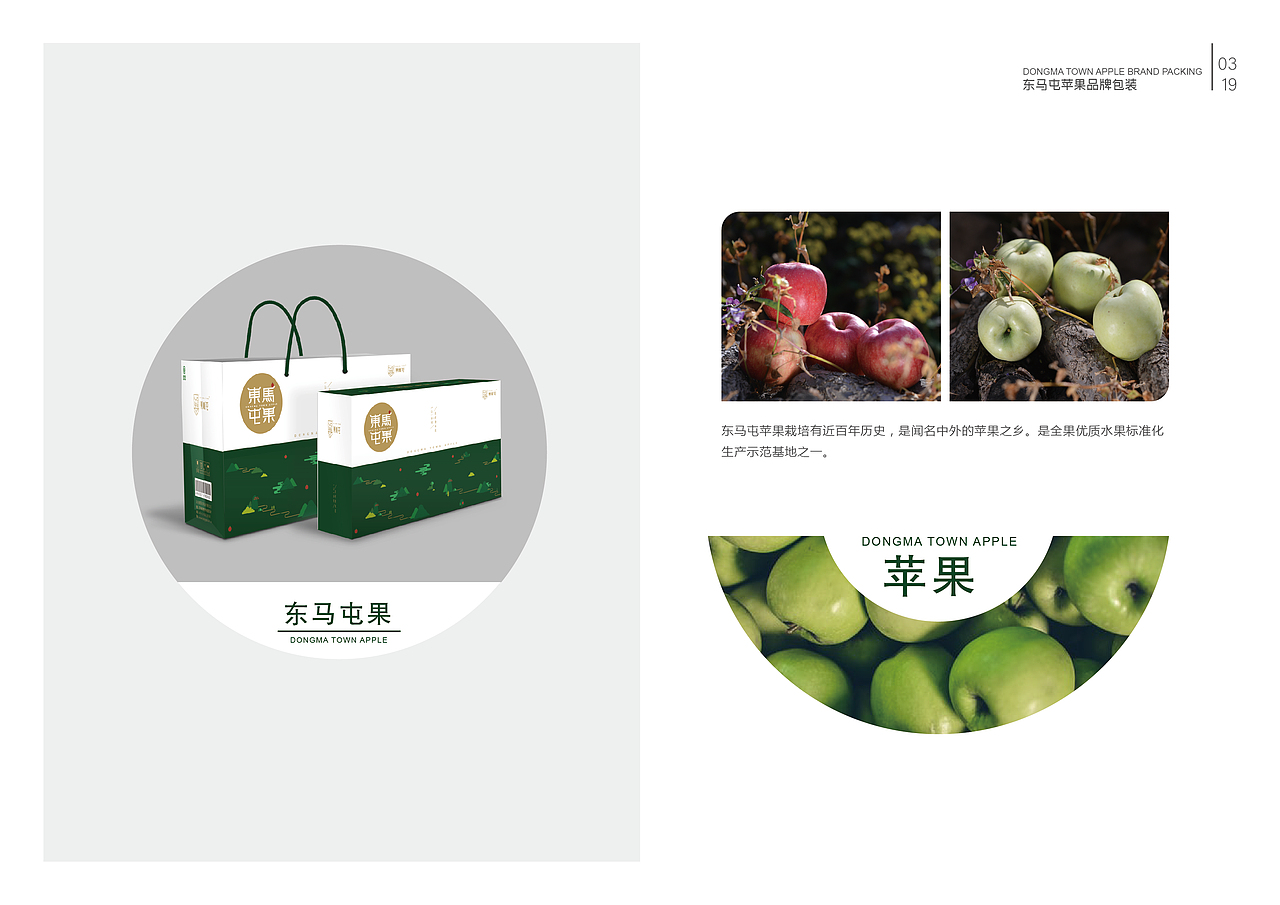 毕业手册（图ZMTY4OTc5MzI0） - 书籍/画册 - 站酷设计师zln张丽娜原创素材 - 站酷ZCOOL