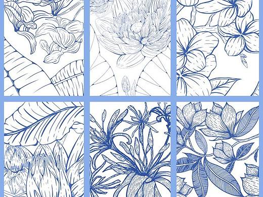 嚯芒扎——傣族“六花”系列（個人主頁-ZNjczNTUyMjA=） - 商業(yè)插畫 - 站酷設(shè)計師哦哦哦哦哦no原創(chuàng)素材 - 站酷ZCOOL