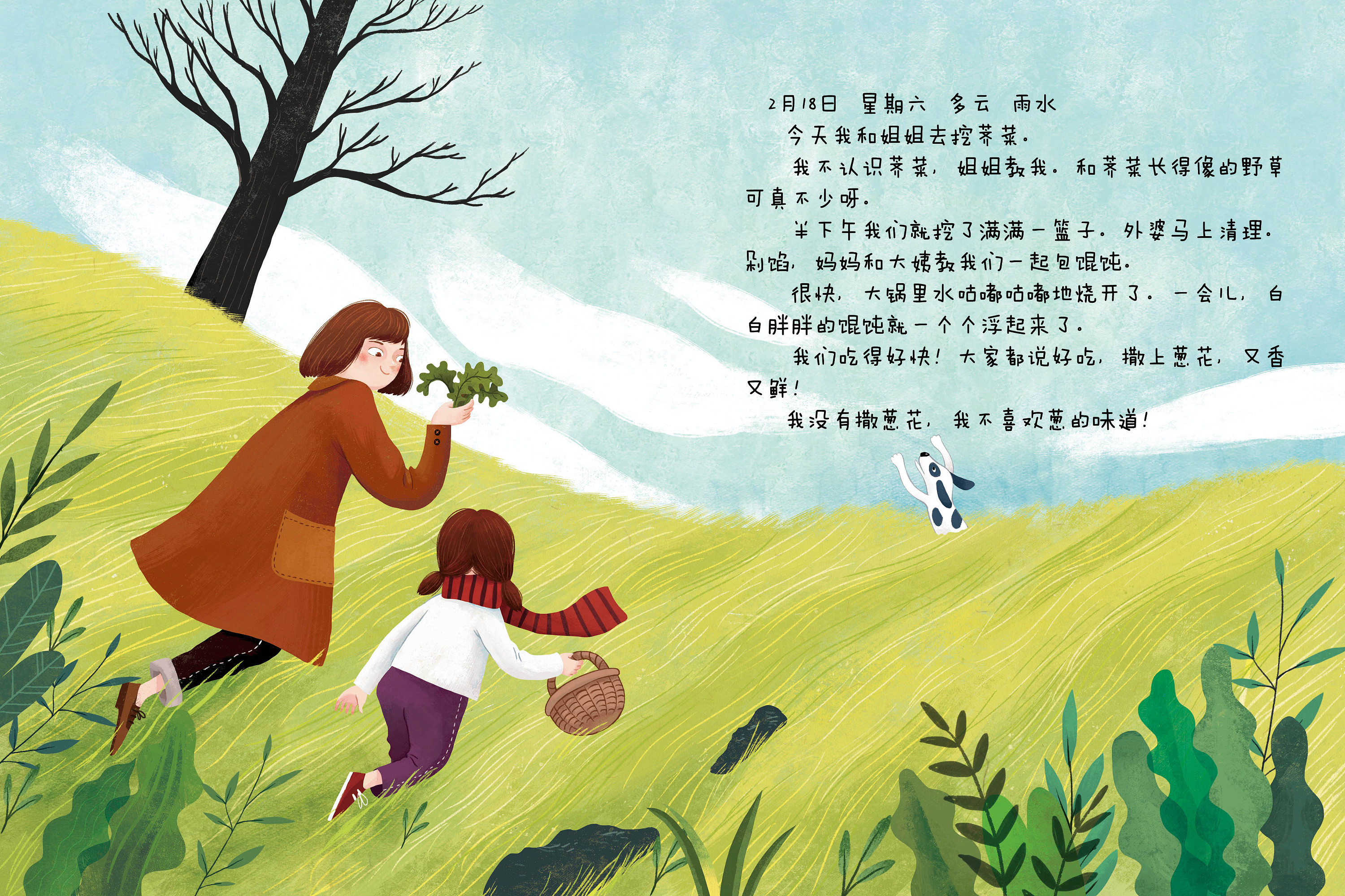 我的自然观察日记|插画|绘本|七酒米_原创作品-站酷zcool