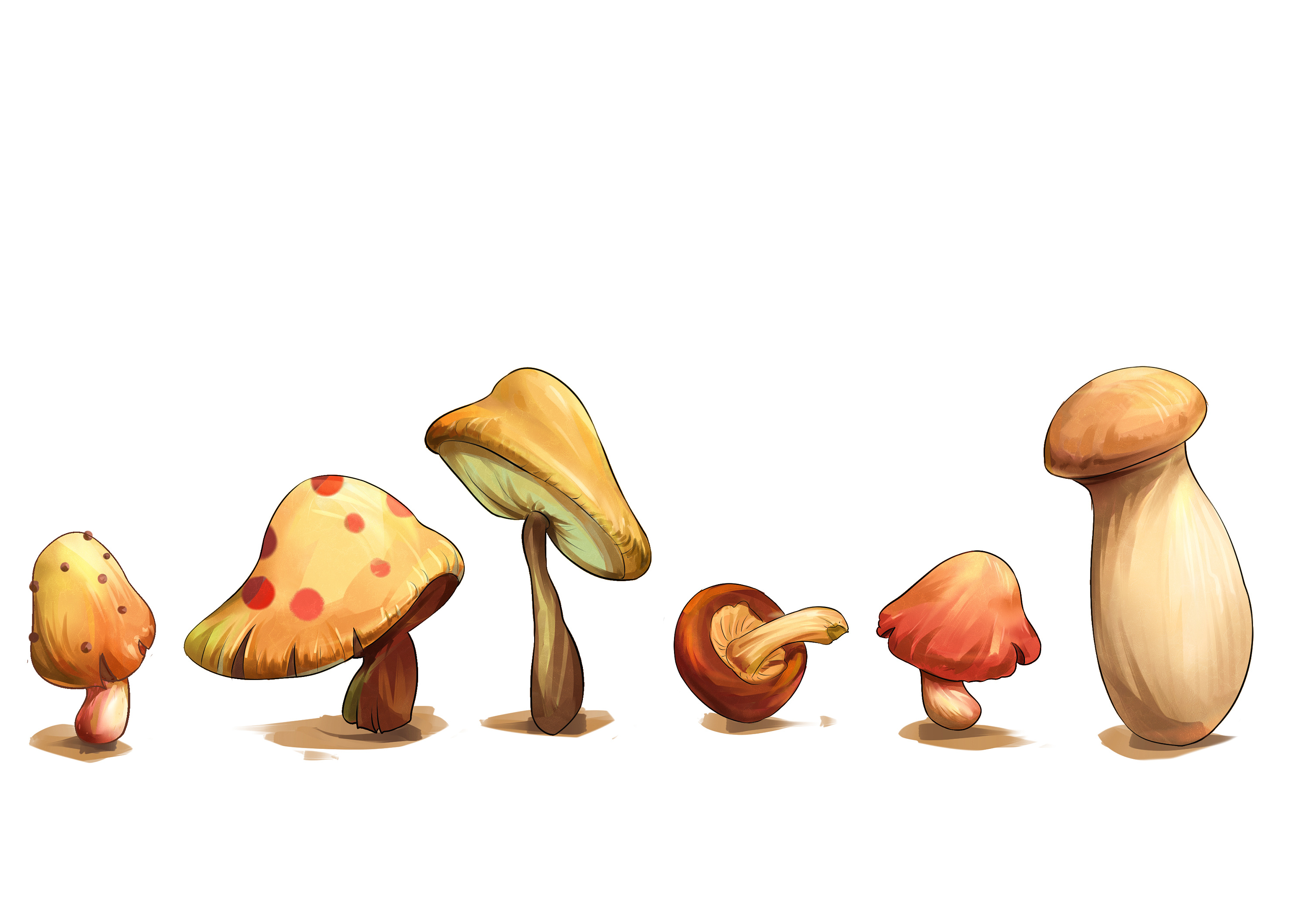 商业插画|插画|商业插画|草木绘 - 原创作品 - 站酷 (zcool)