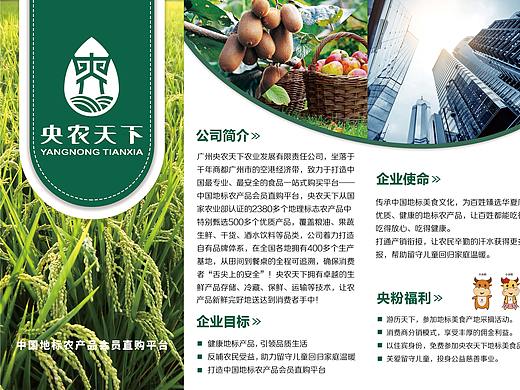 央农天下三折页与手提袋