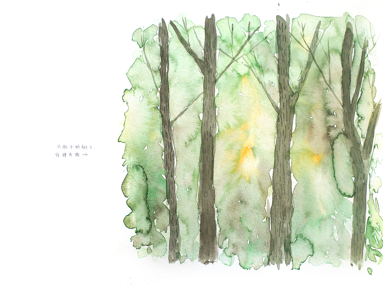 自然笔记（图ZNjg2NTAxNjA=） - 艺术插画 - 站酷设计师早寻原创素材 - 站酷ZCOOL