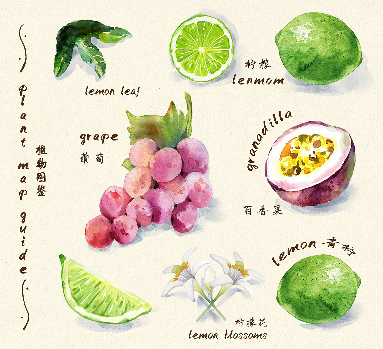 果汁饮料包装设计