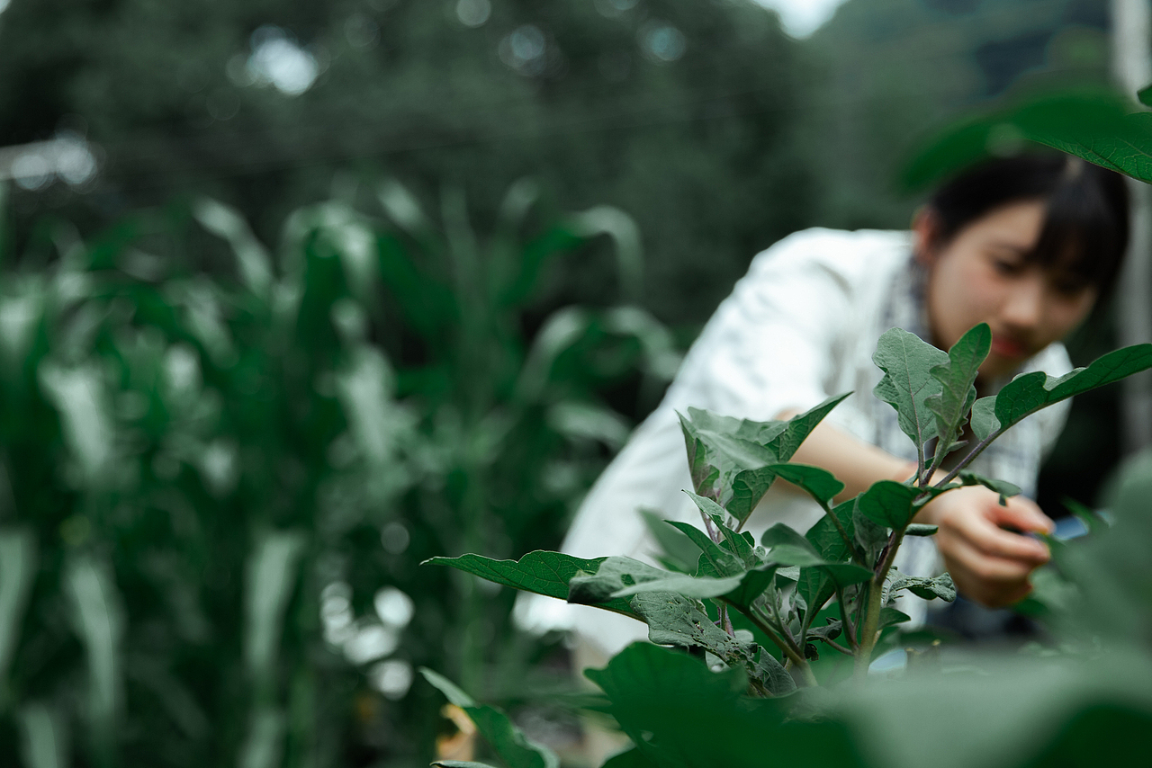 情绪写真 |夏与森