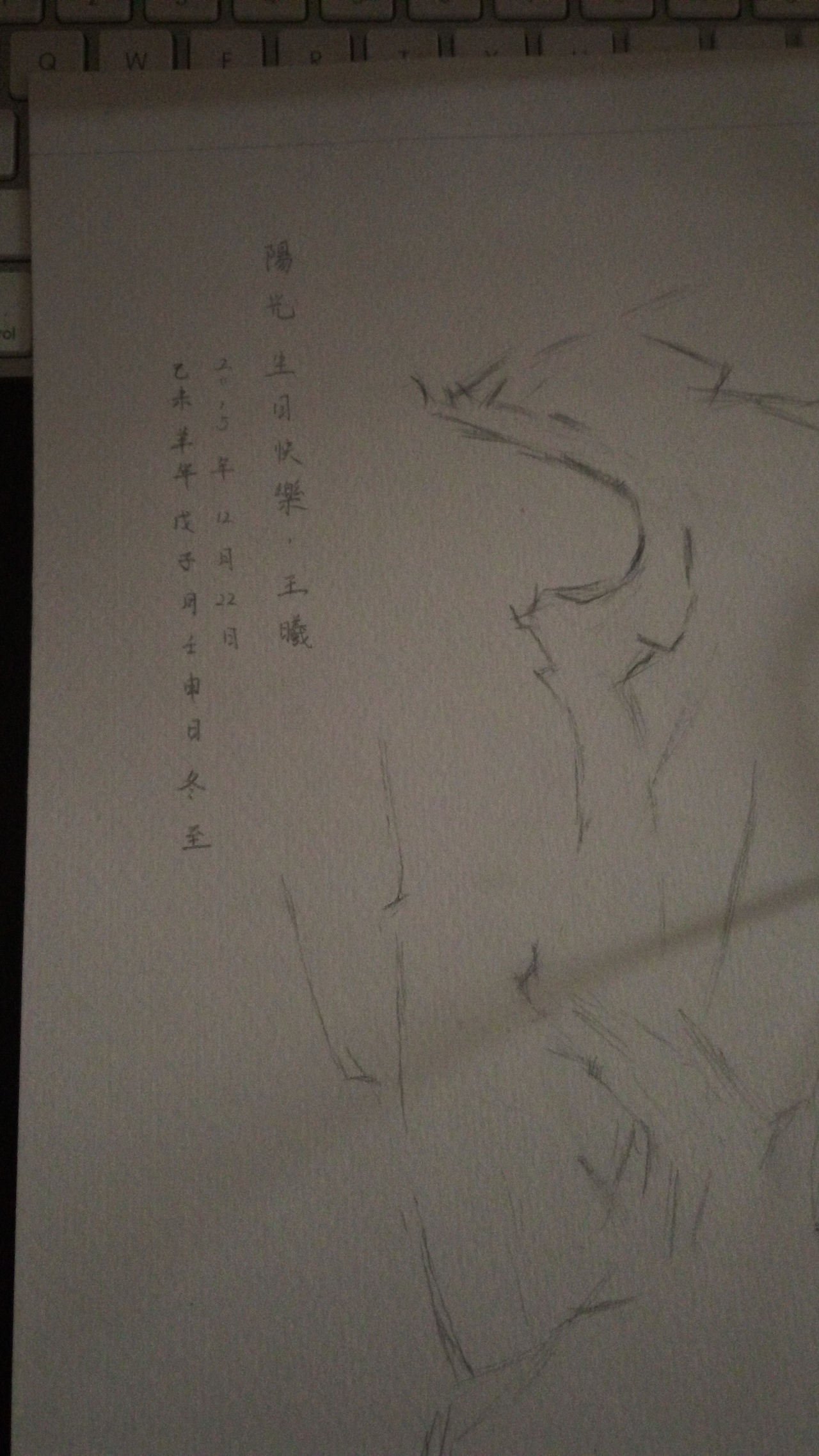 这算是????钢笔画,不对签字笔画!我也不清楚