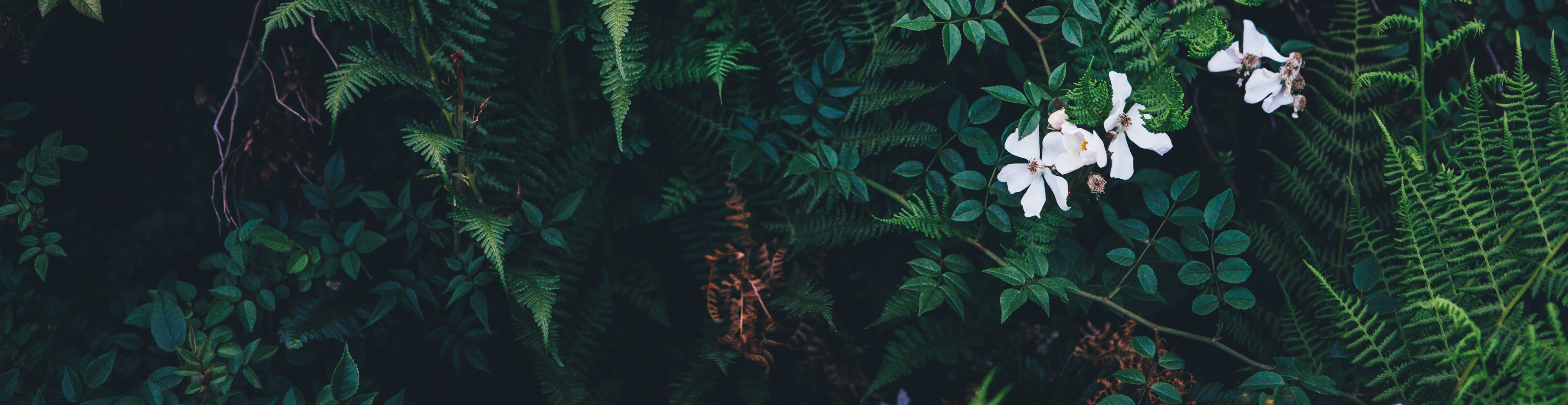 Asterdl的个人主页（封面预览） - 主页封面设置 - 站酷设计师Asterdl原创素材 - 站酷ZCOOL