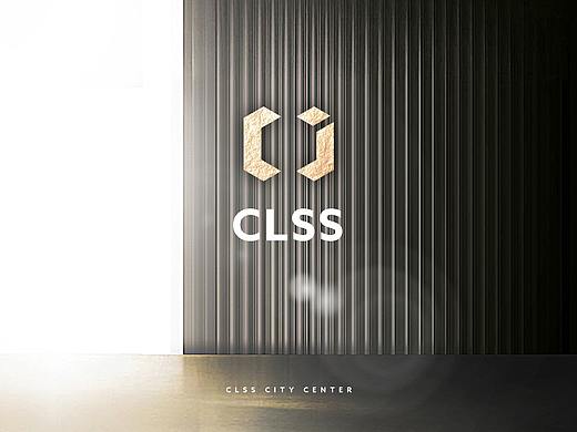 CLSS 盛世风华 - 保山综合地产项目提案