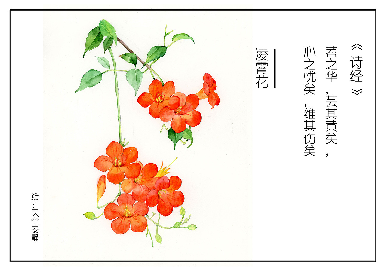 诗经更新（图ZMTUzNDIyMjk2） - 创作习作 - 站酷设计师天空安靜原创素材 - 站酷ZCOOL