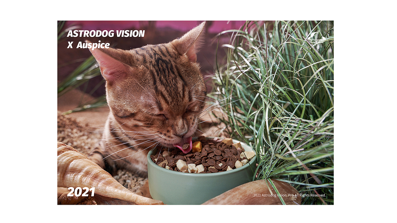 宠物商业摄影-安贝原生全价猫粮/狗粮（图ZMjc1MjkxODM2） - 产品摄影 - 站酷设计师太空狗视觉原创素材 - 站酷ZCOOL