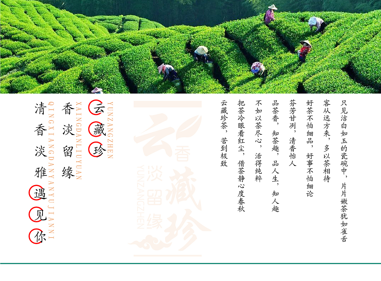 云藏珍LOGO展示（图ZMjE2NzE1NDE2） - Logo - 站酷设计师Johnnytom1原创素材 - 站酷ZCOOL