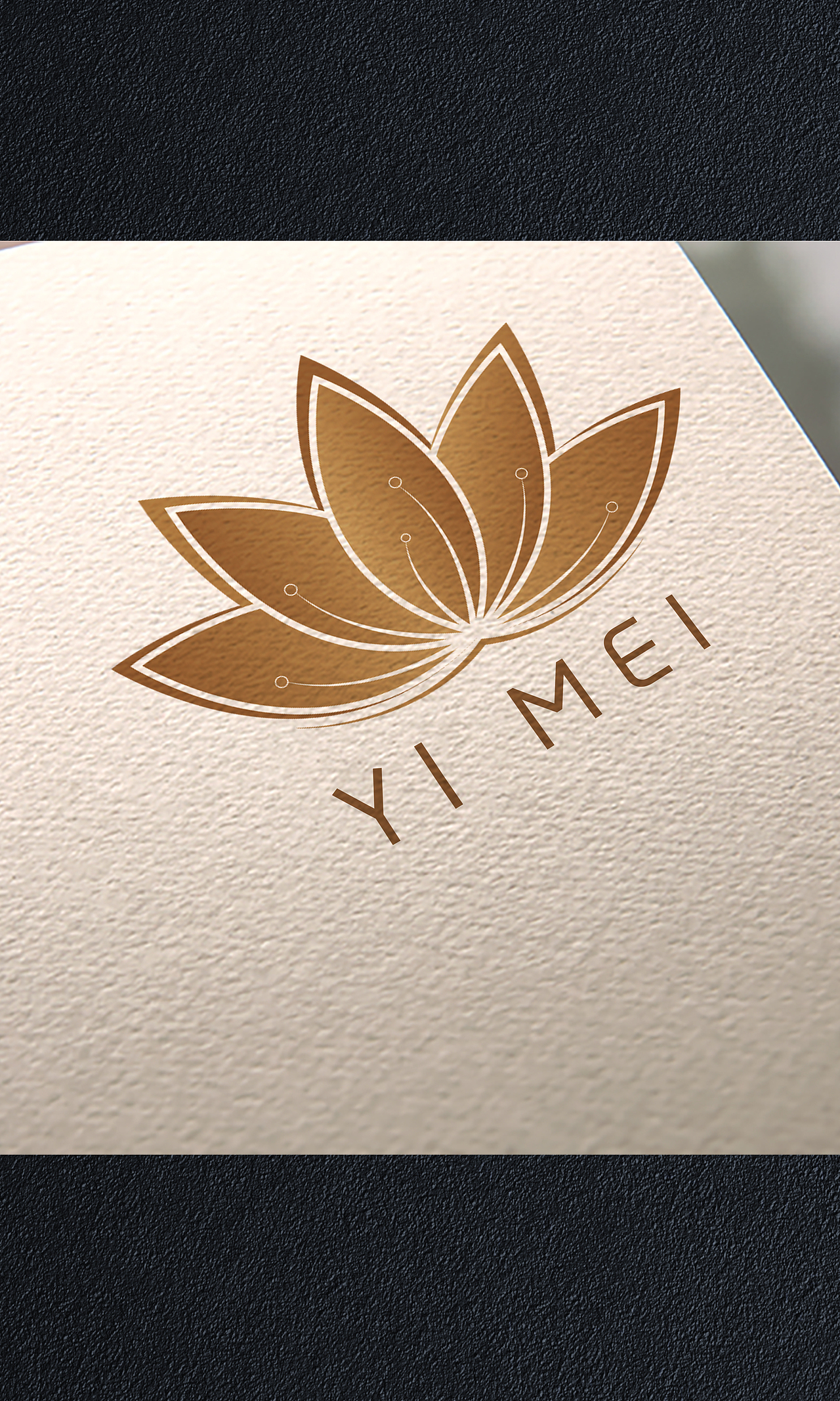 伊美生物logo设计及简单应用