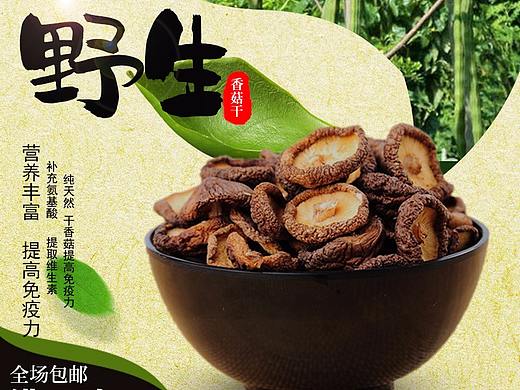 蘑菇（个人主页-ZNDI5OTAzNzY=） - 海报 - 站酷设计师蛋蛋设计原创素材 - 站酷ZCOOL