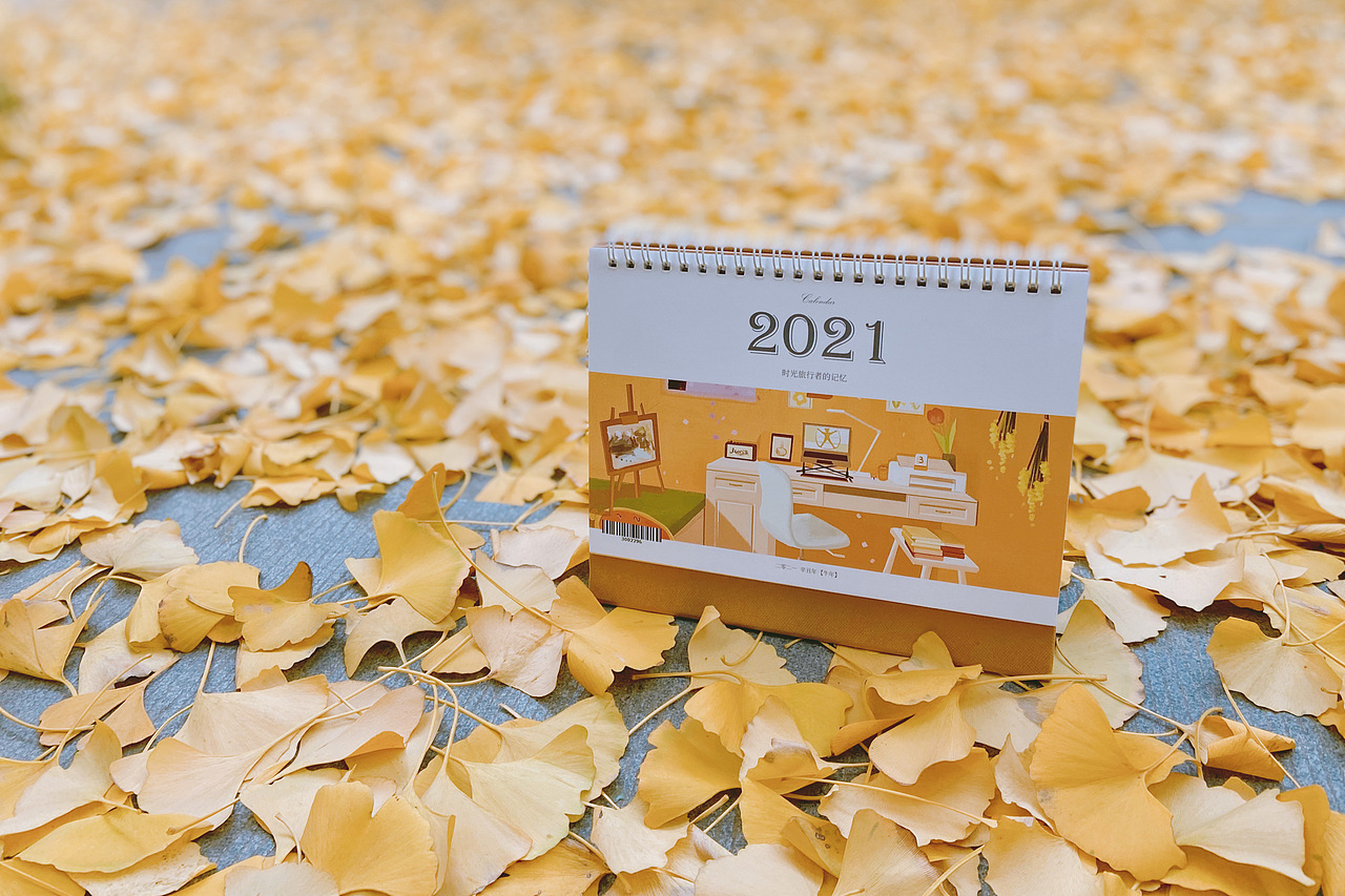 2021插畫日歷-閃閃發(fā)光的時刻（圖ZMjM2NTI3ODUy） - 創(chuàng)作習(xí)作 - 站酷設(shè)計師酒釀mori原創(chuàng)素材 - 站酷ZCOOL