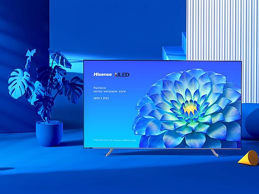 Hisense | Rainbow flower