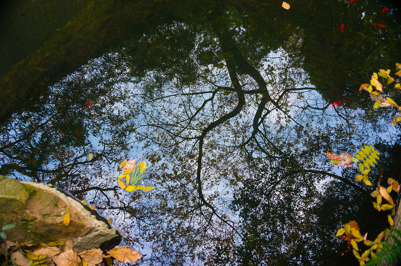 杭州（图ZNDA1MTI4MjQ=） - 风光摄影 - 站酷设计师葡个萄原创素材 - 站酷ZCOOL