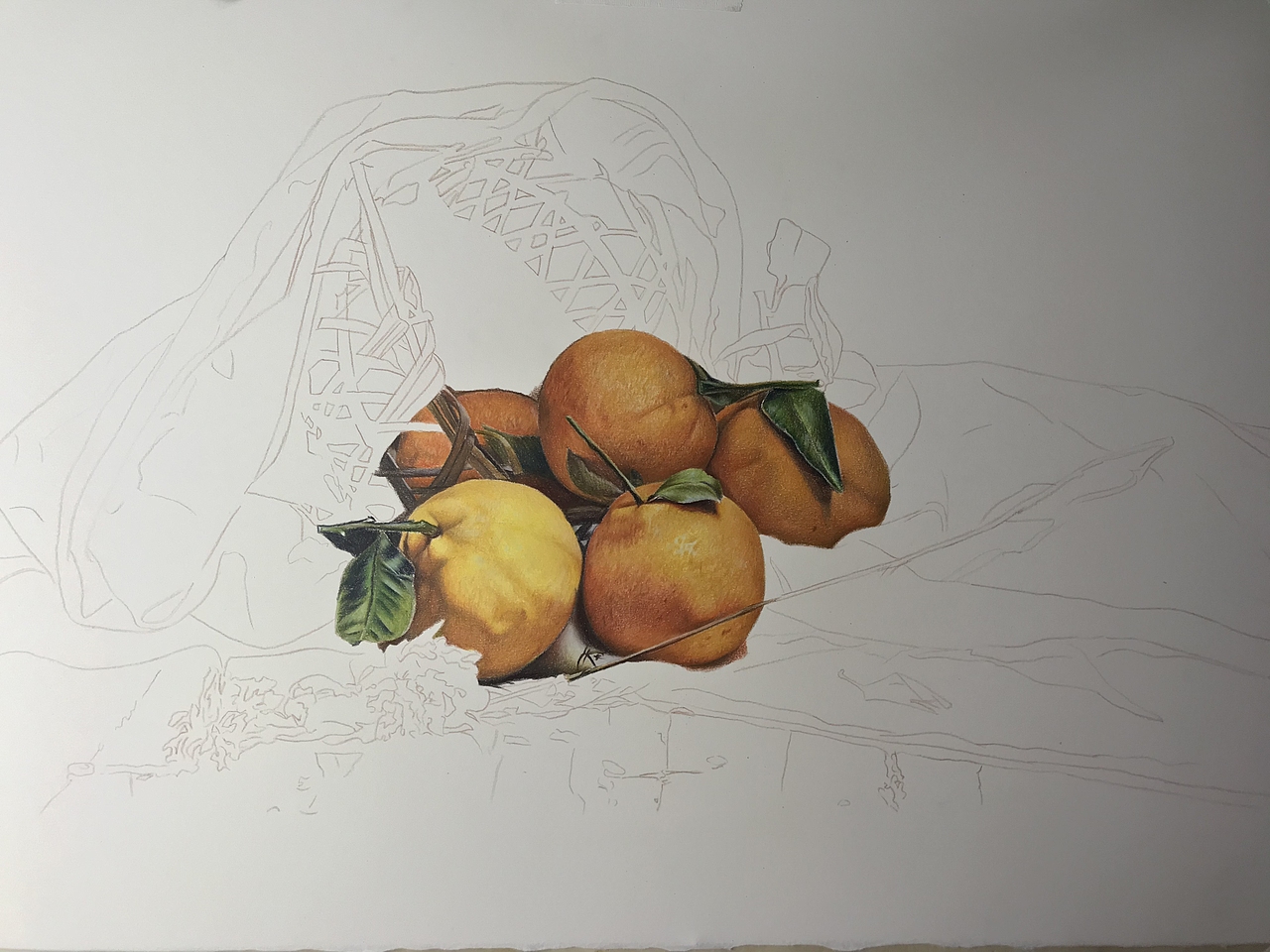 彩铅静物系列之-丑橘,霹雳马偏写实风格(内附过程)