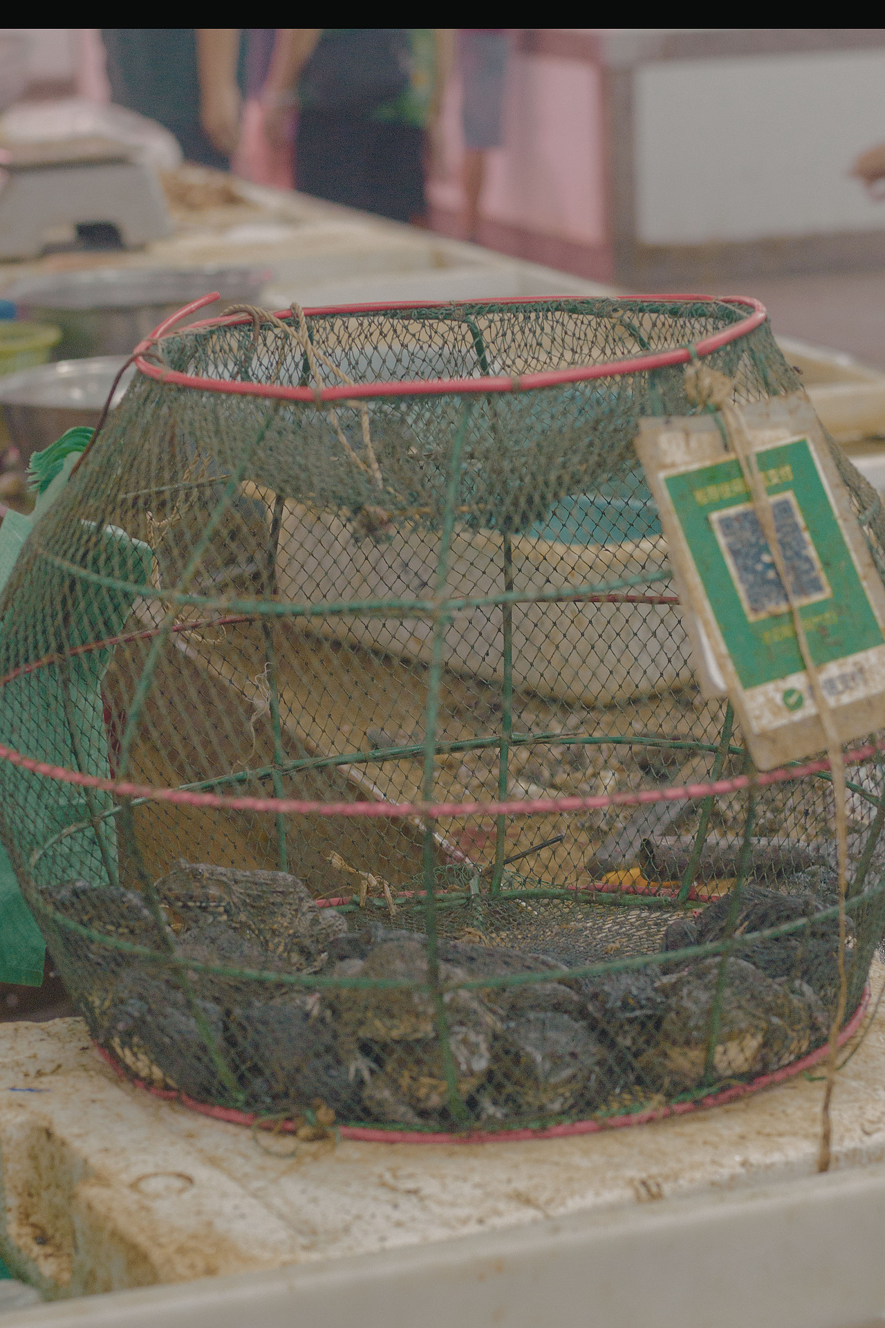 晚上七点的街市