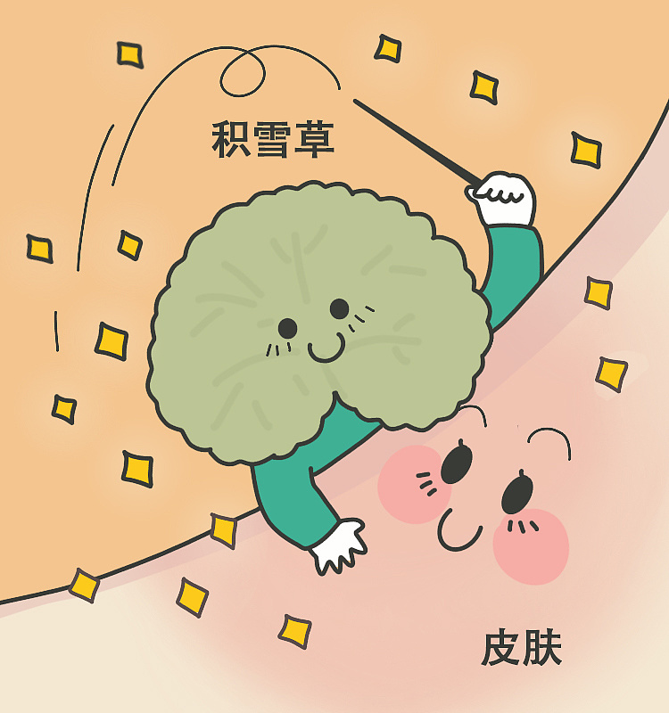 可爱的积雪草|插画|商业插画|吃葱有益工作室 - 原创作品 - 站酷