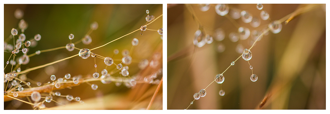 云南-罗平油菜花（图ZMTQxMzE4MDQ=） - 风光摄影 - 站酷设计师RyanShao原创素材 - 站酷ZCOOL