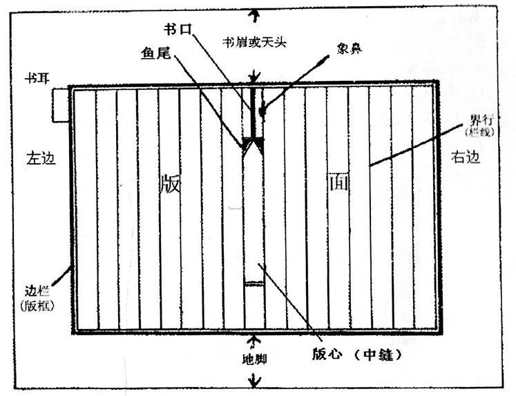 版面,版框( 也称边栏),界行( 也称行格,行款),版心,鱼尾,象鼻,书耳