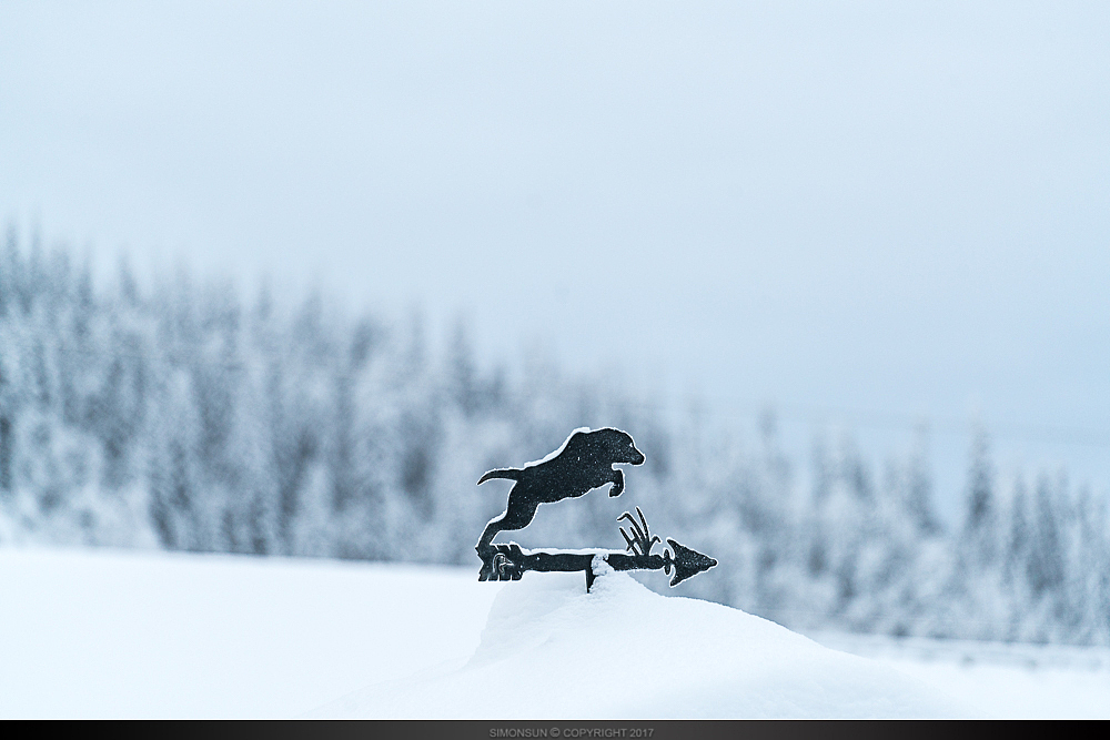 绿火之燃（图ZMTA3ODI1NDQ4） - 风光摄影 - 站酷设计师老飘飘原创素材 - 站酷ZCOOL