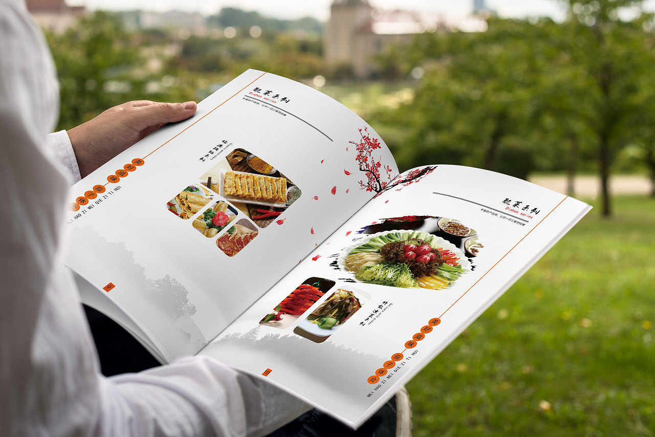 中国风餐饮招商画册