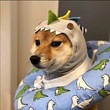 阿平阿的头像