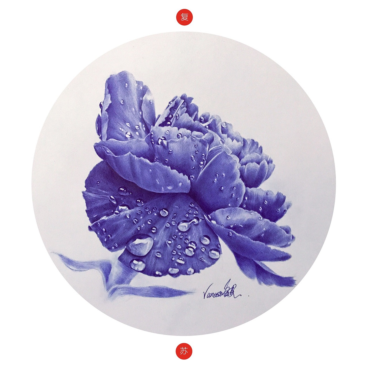 圆珠笔画《康乃馨》-带步骤