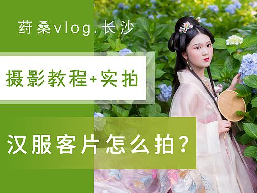 客\绣球花