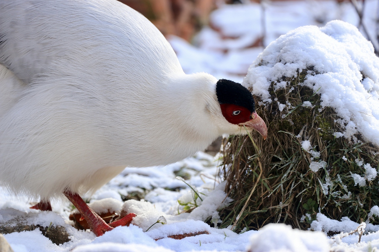 来自拉萨所从未见过的风景