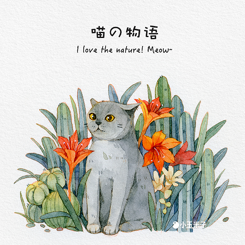喵喵物语（图ZMTUzMjM0MTI4） - 商业插画 - 站酷设计师玉米呀yumia原创素材 - 站酷ZCOOL