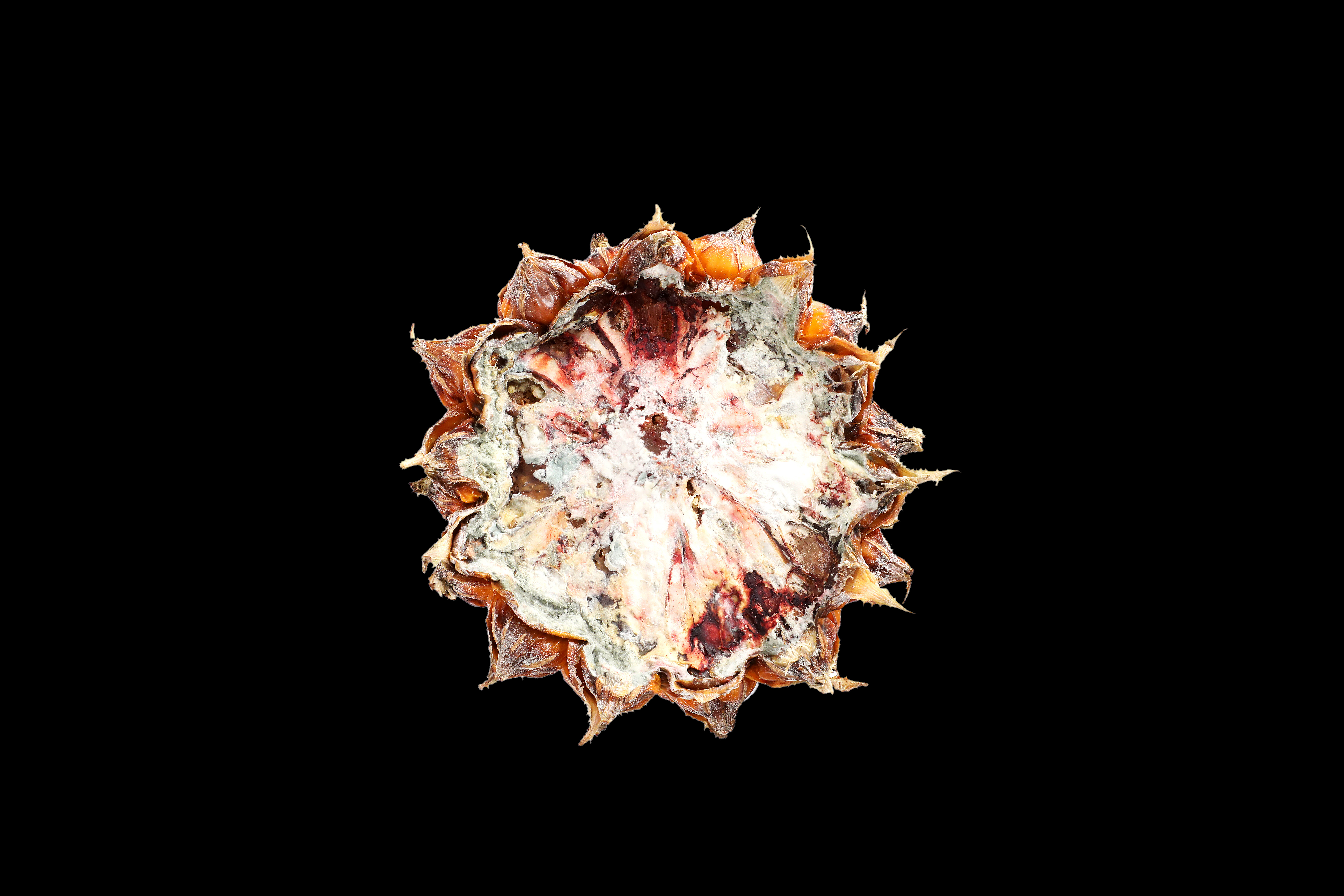 侯存林的个人主页（封面预览） - 主页封面设置 - 站酷设计师侯存林原创素材 - 站酷ZCOOL