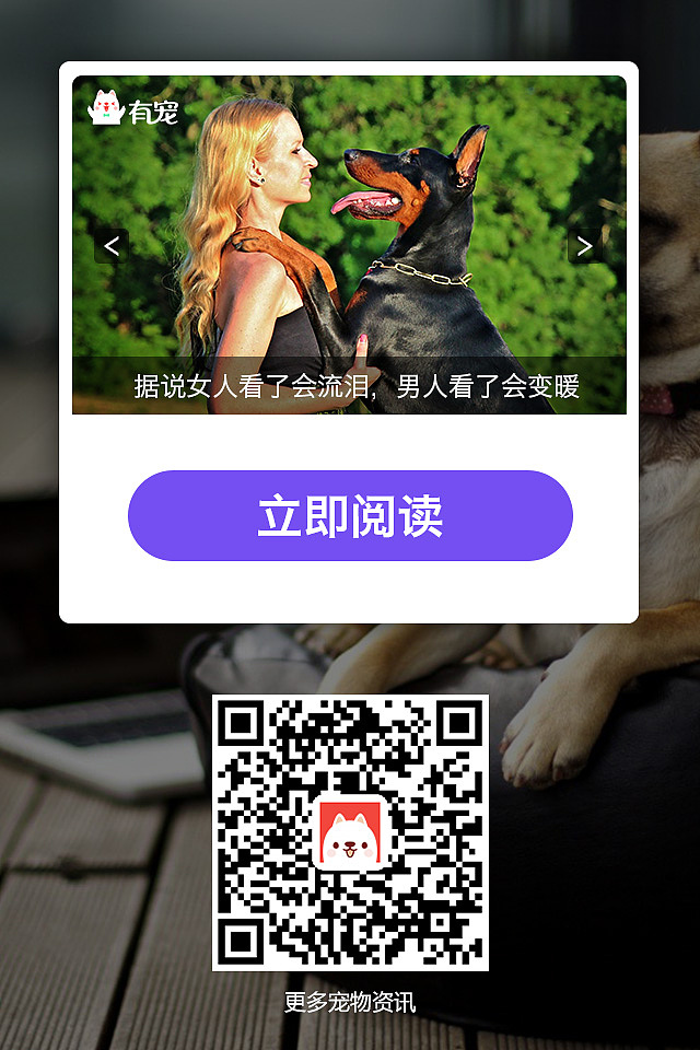 H5/周刊详情等（图ZNzk1MDA4MDQ=） - 其他平面 - 站酷设计师袁笑笑原创素材 - 站酷ZCOOL