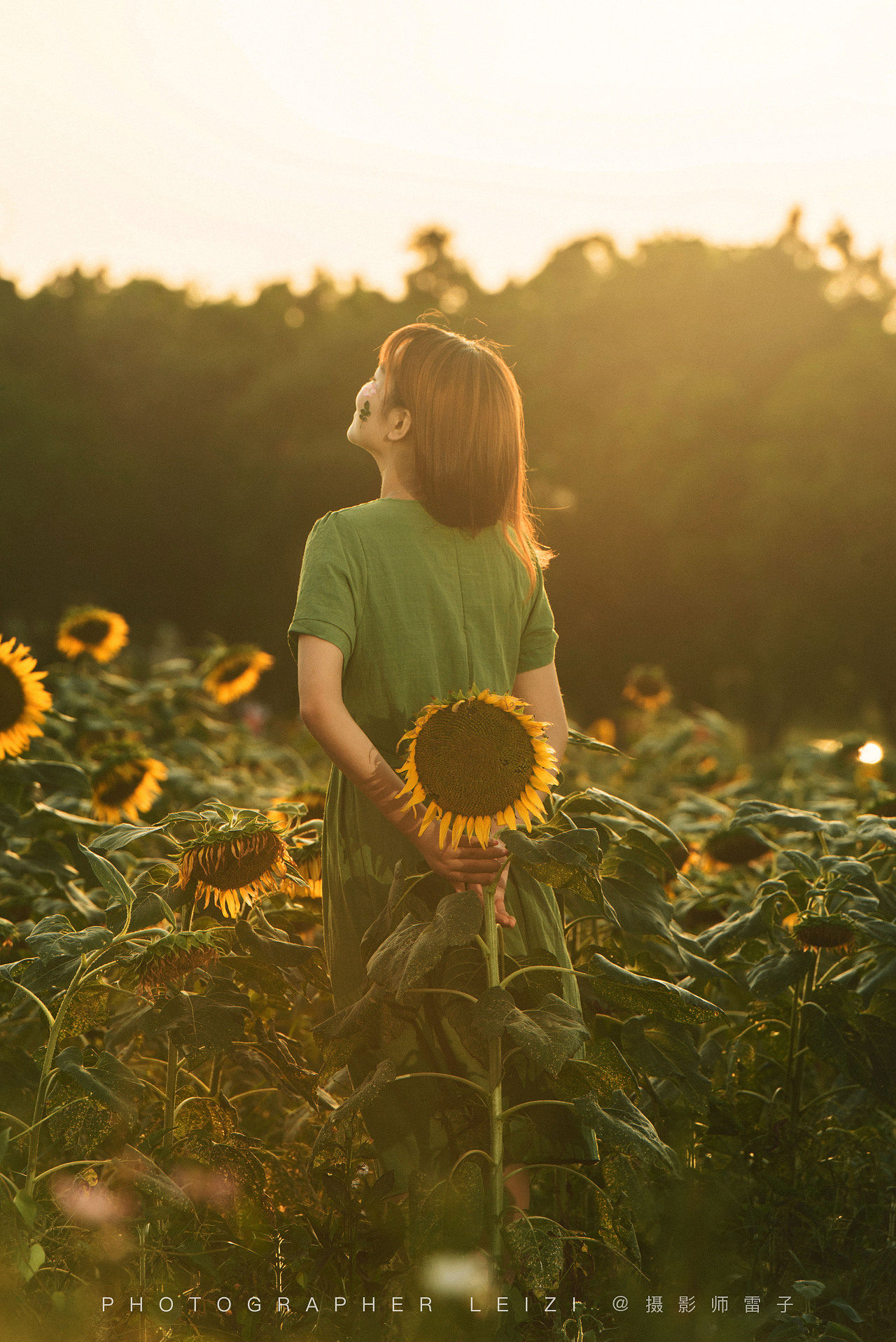 时尚的年轻女性在花卉连衣裙与向日葵走在温暖的夕阳光在夏天的田野。乡村的宁静气氛。美丽的女人在黄昏的草地上捧着向日葵照片摄影图片_ID ...