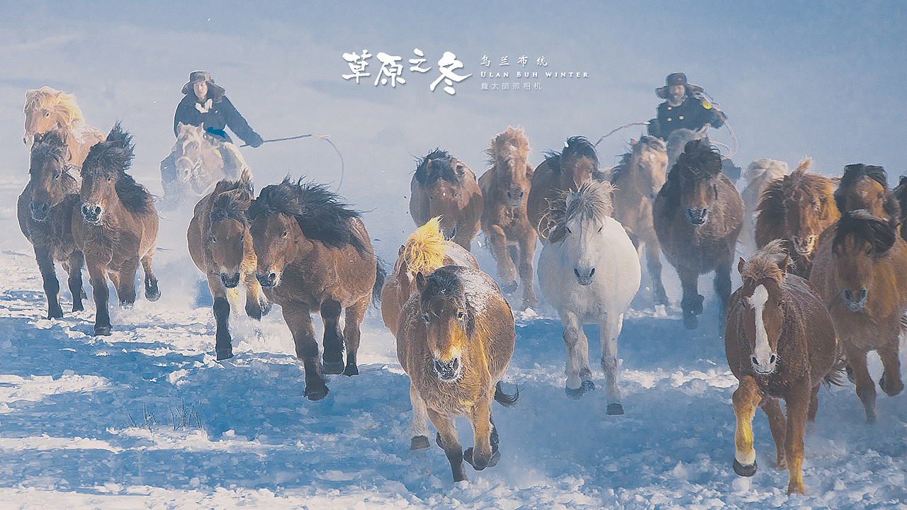 草原之冬 乌兰布统（图ZMzkxNjQ4MzI=） - 风光摄影 - 站酷设计师ppptttsss原创素材 - 站酷ZCOOL