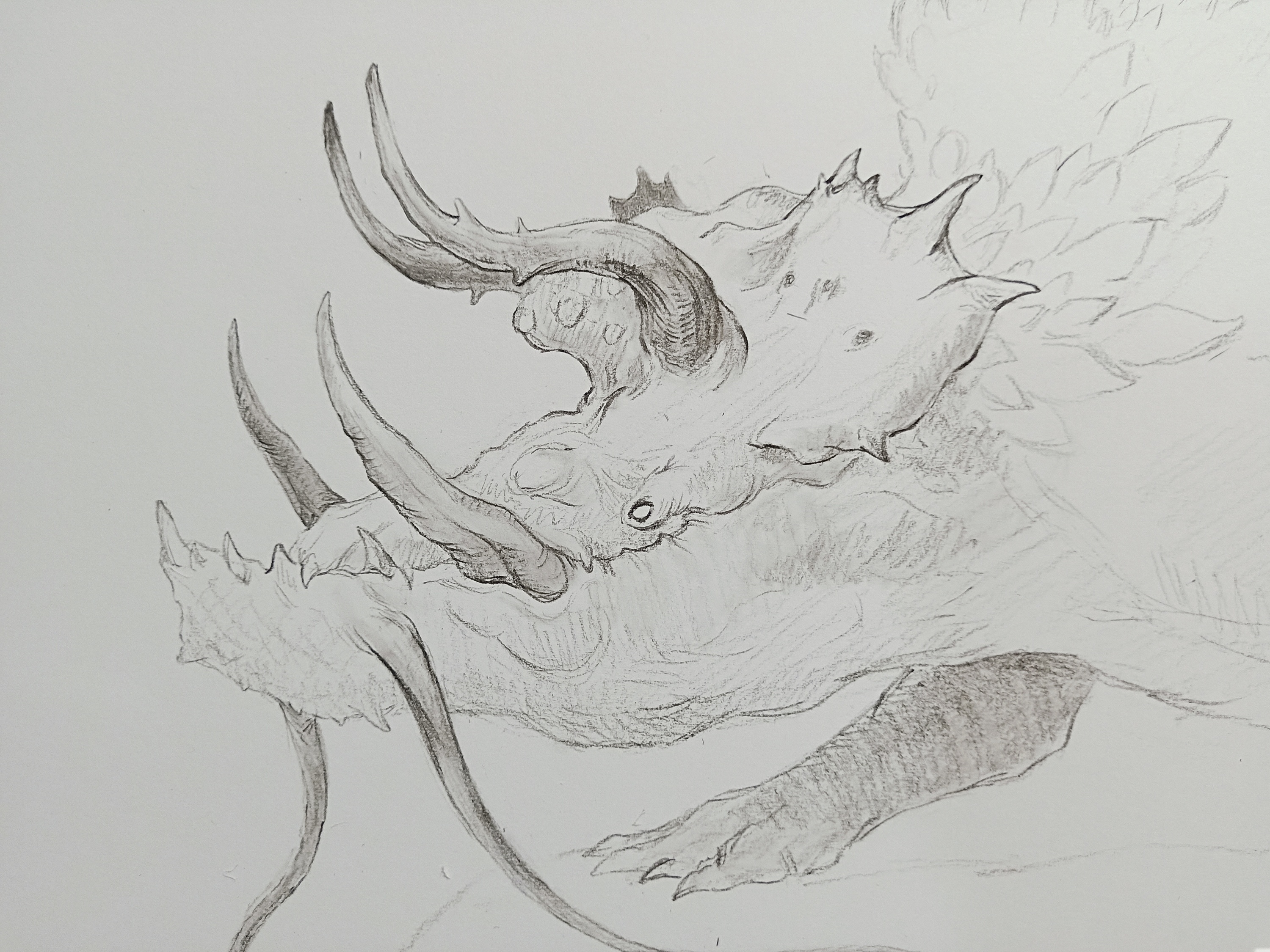 幻想生物|插画|概念设定|anti_matter - 原创作品 - 站酷 (zcool)