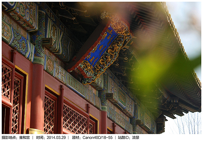 40里路去看樱。（图ZMTUxMDYwODA=） - 风光摄影 - 站酷设计师流景原创素材 - 站酷ZCOOL
