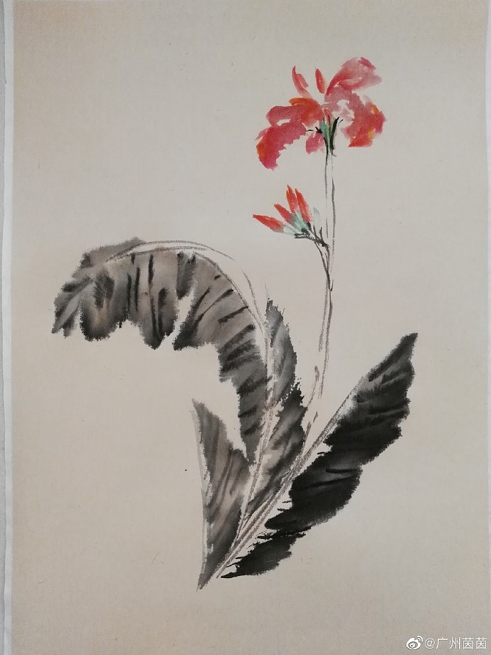 水墨《美人蕉》